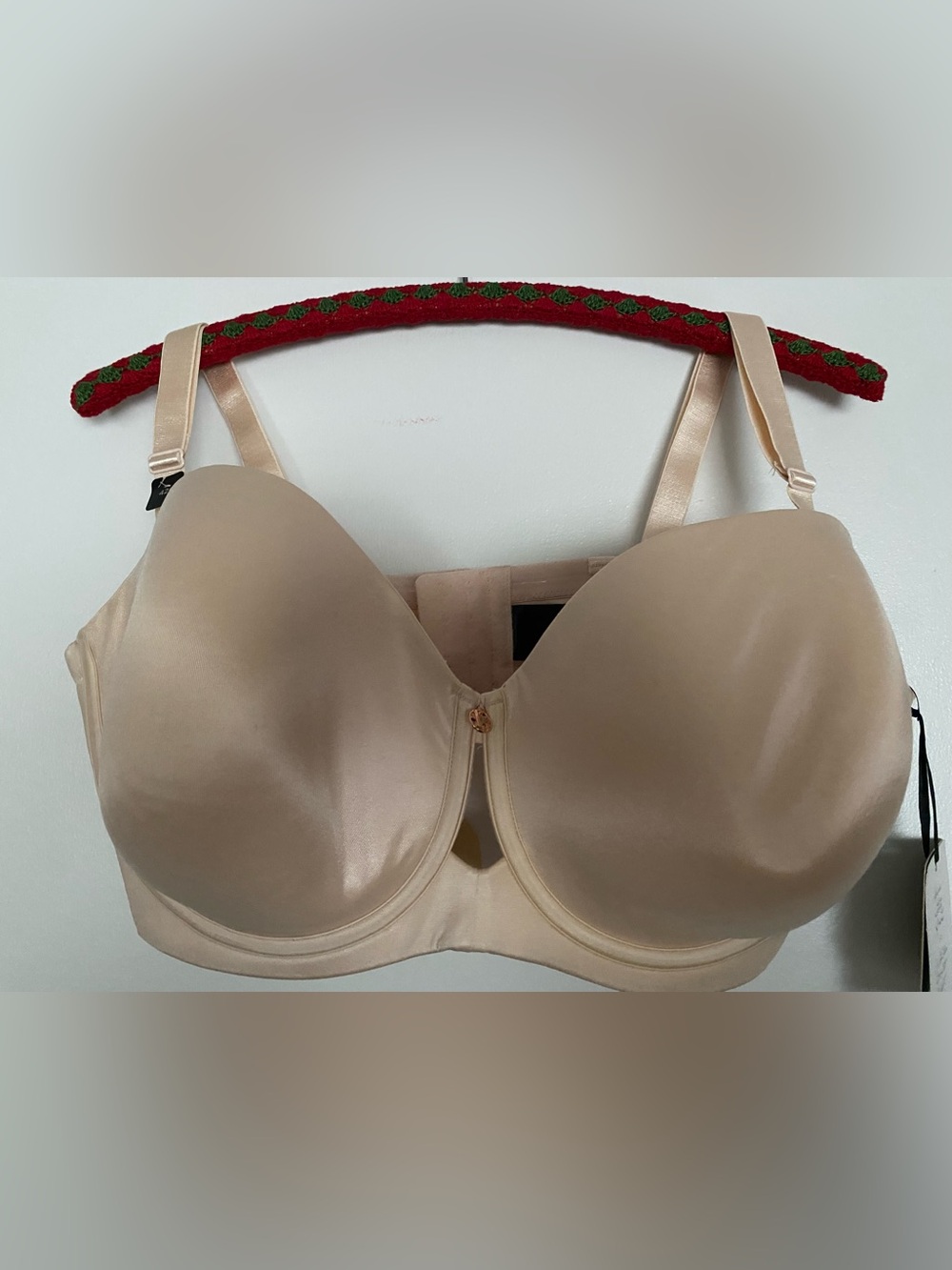 Ashley Graham new with tags 42G